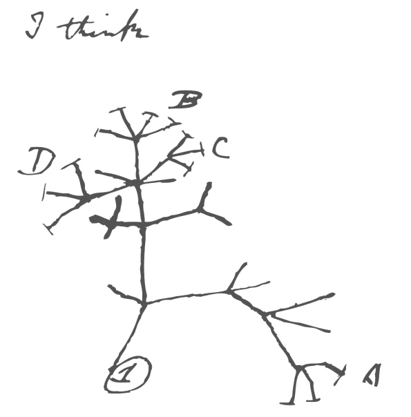 Darwin's Tree of Life